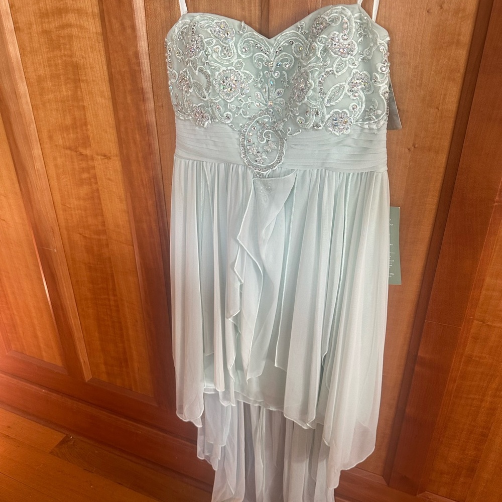 My Michelle Soft Green Gown